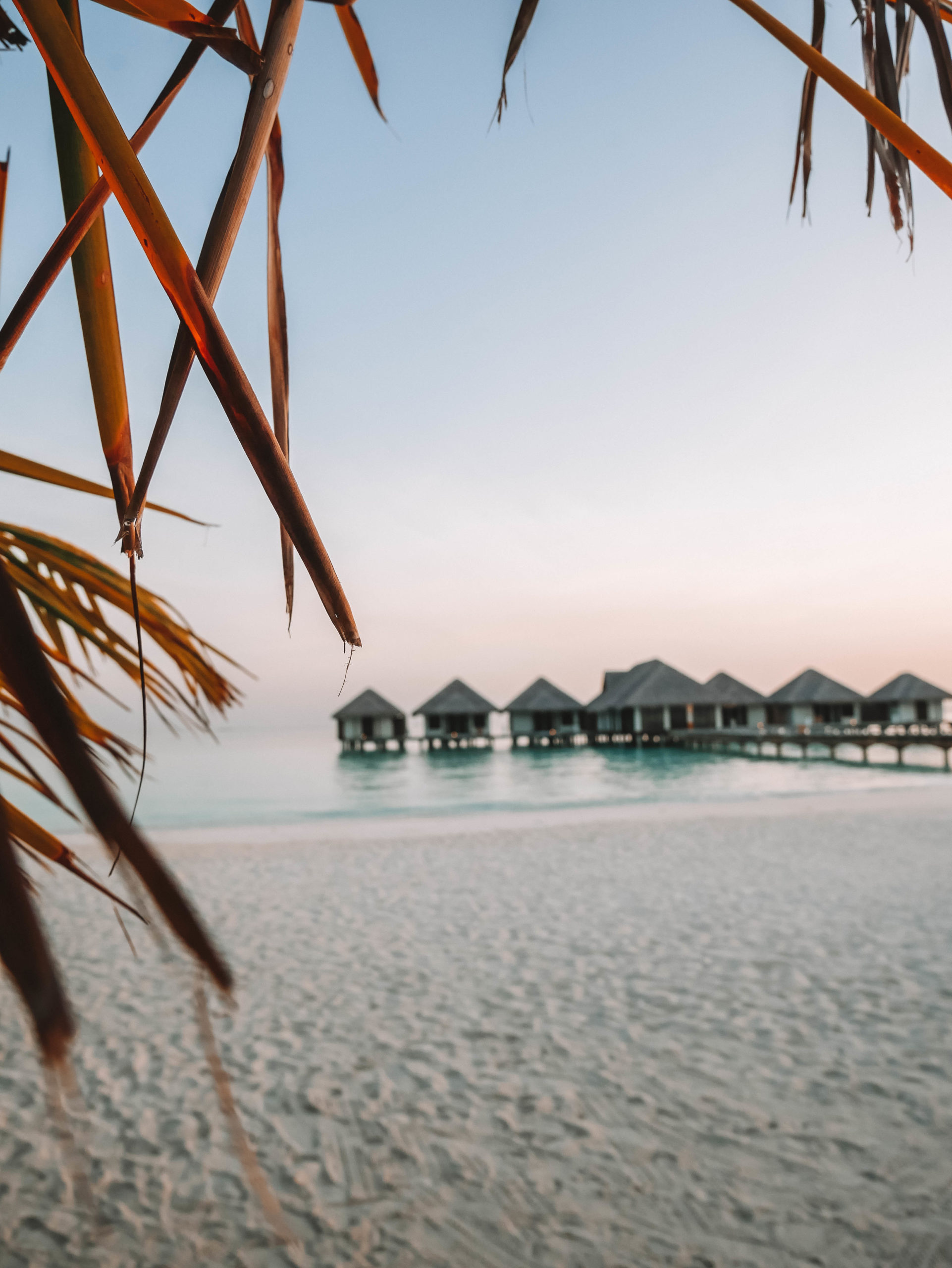 VELASSARU // THE BEST FOODIE RESORT IN THE MALDIVES