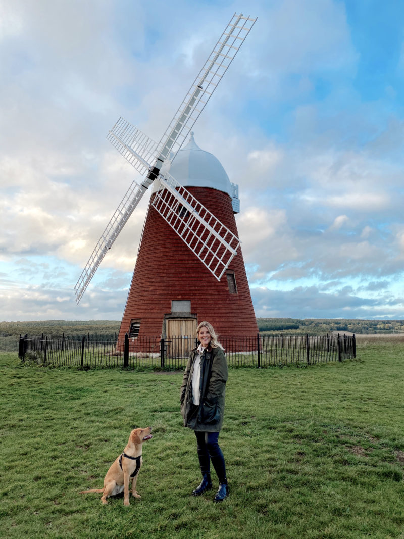 THIS SEASONS BEST DOG WALKING WEATHER PROOF AND WATERPROOF COATS