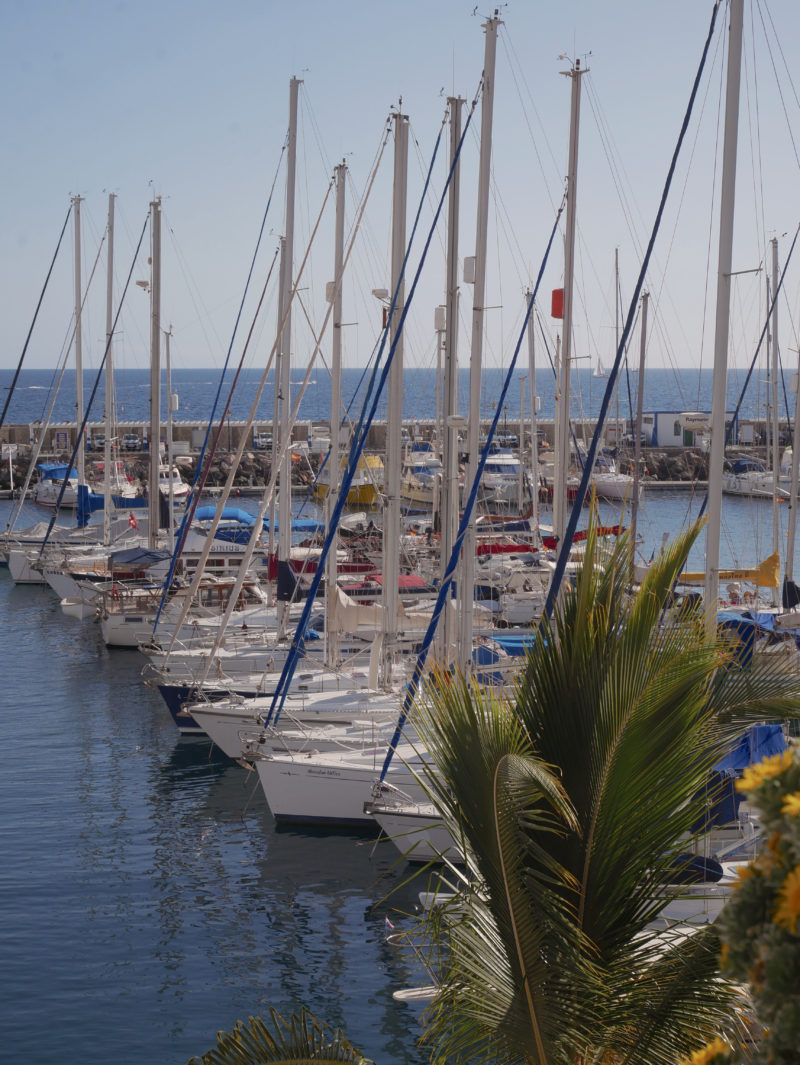 Five Reasons Why You Should Visit Puerto de Mogán